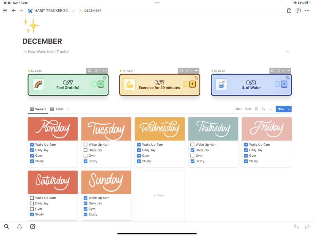 Notion Template Habit Tracker 